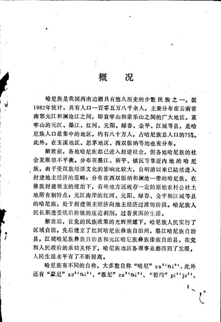 《中国少数民族语言简志哈尼语简志》.pdf电子版_其他志插图5