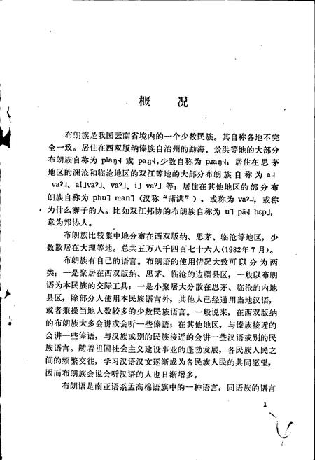 《中国少数民族语言简志布朗语简志》.pdf电子版_其他志插图5