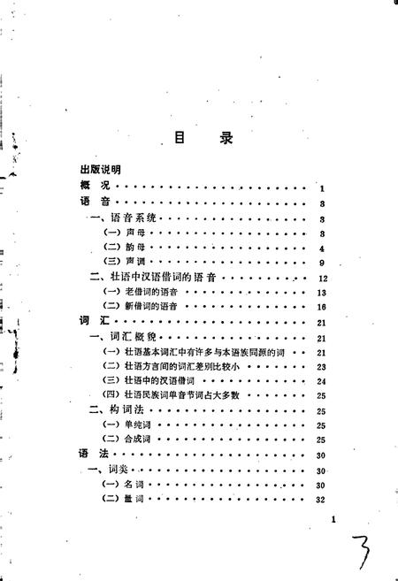 《中国少数民族语言简志壮语简志》.pdf电子版_其他志插图4