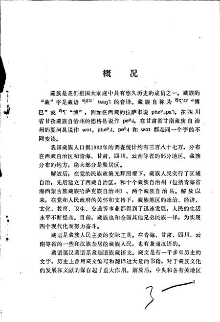 《中国少数民族语言简志藏语简志》.pdf电子版_其他志插图5