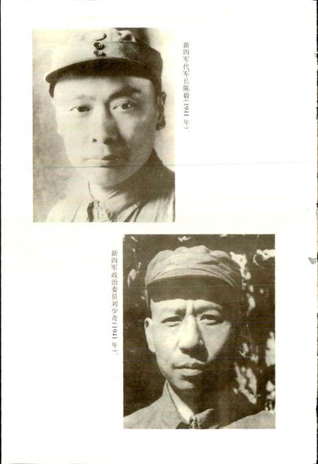 《新四军发展史》.pdf电子版_其他志插图5 《新四军发展史》.pdf电子版_其他志插图5