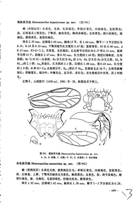 《中国(虫齿)目志 下册》.pdf电子版_其他志插图5 《中国(虫齿)目志 下册》.pdf电子版_其他志插图5