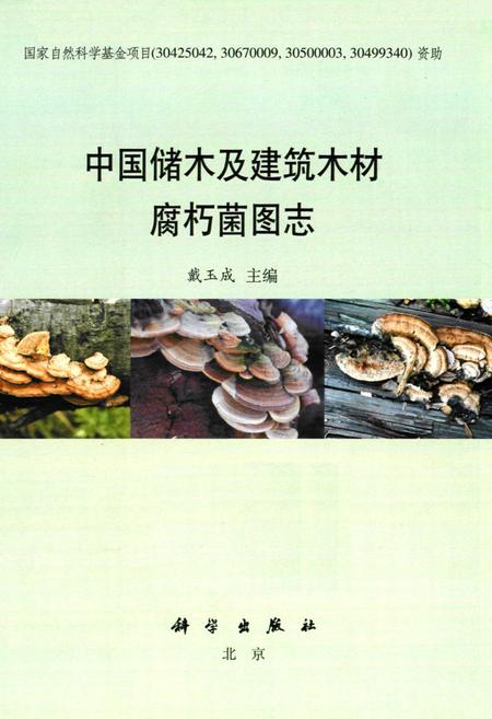 《中国储木及建筑木材腐朽菌图志》.pdf电子版_其他志插图1