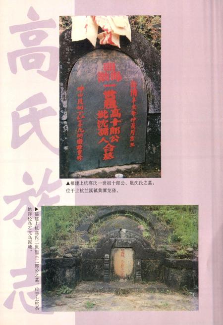 《高氏族志》.pdf电子版_其他志插图4