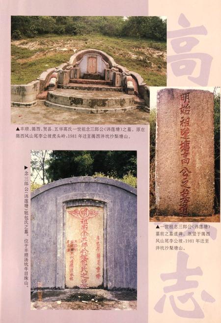 《高氏族志》.pdf电子版_其他志插图5
