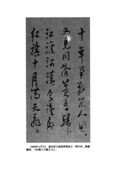 《新四军江南指挥部抗日图志》.pdf电子版_其他志插图3