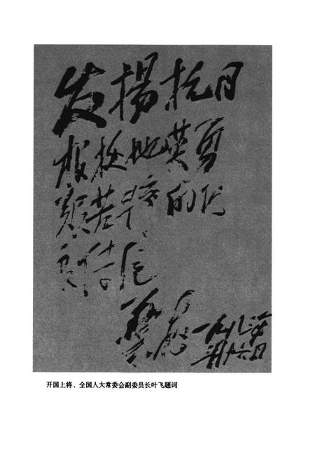 《新四军江南指挥部抗日图志》.pdf电子版_其他志插图5