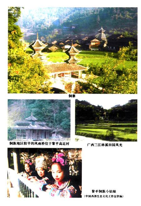 《侗族风俗志》.pdf电子版_其他志插图5