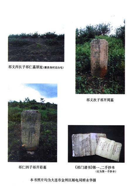 《祁羽凌家族志》.pdf电子版_其他志插图3