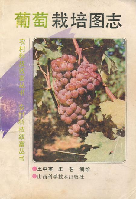 《《葡萄栽培图志》》.pdf电子版_其他志插图