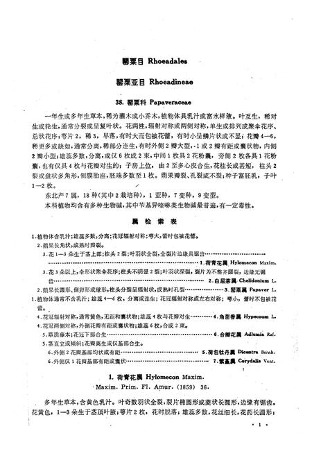 《《东北草本植物志(第四卷)》》.pdf电子版_其他志插图5