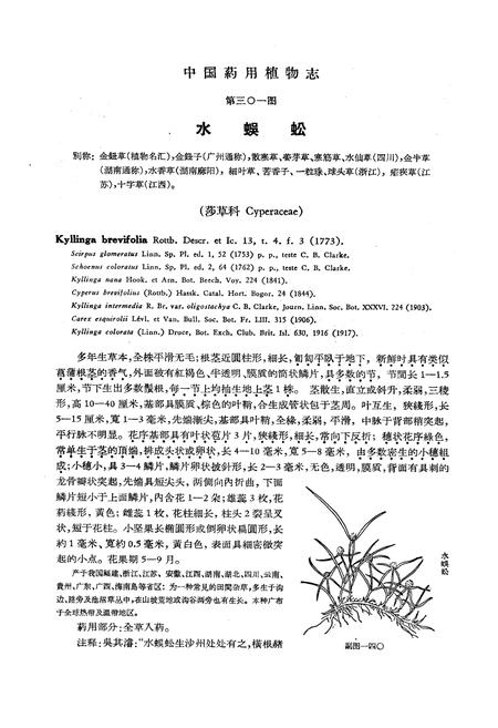 《《中国药用植物志(第七册)》》.pdf电子版_其他志插图3