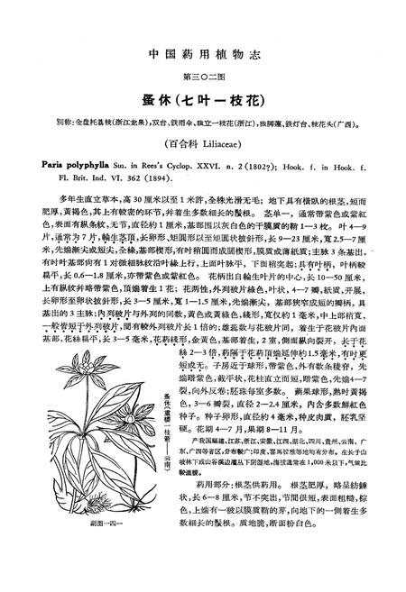 《《中国药用植物志(第七册)》》.pdf电子版_其他志插图4