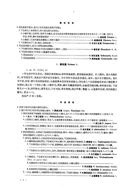 《《东北草本植物志》》.pdf电子版_其他志插图4