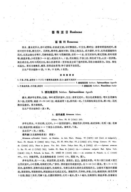 《东北草本植物志(第五卷)》.pdf电子版_其他志插图4