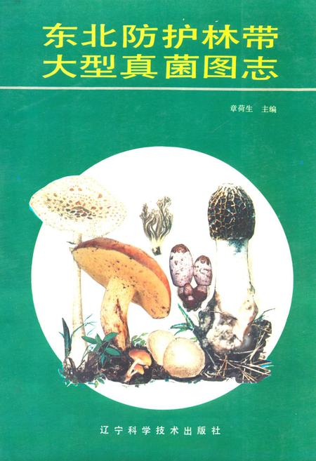《东北防护林带大型真菌图志》.pdf电子版_其他志插图 《东北防护林带大型真菌图志》.pdf电子版_其他志插图