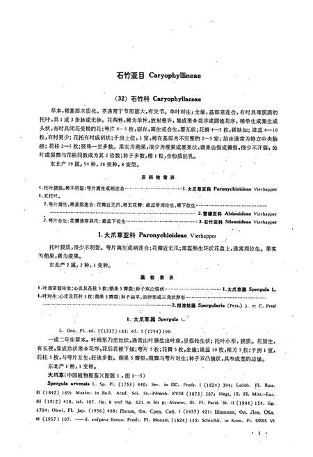 《东北草本植物志(第三卷)》.pdf电子版_其他志插图4 《东北草本植物志(第三卷)》.pdf电子版_其他志插图4