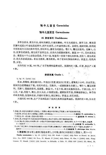 《东北草本植物志(第六卷)》.pdf电子版_其他志插图4