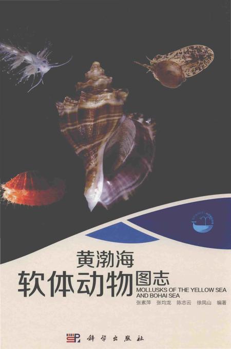 《黄渤海软体动物图志》.pdf电子版_其他志