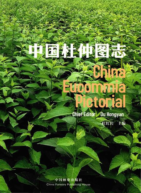 《中国杜仲图志》.pdf电子版_其他志插图