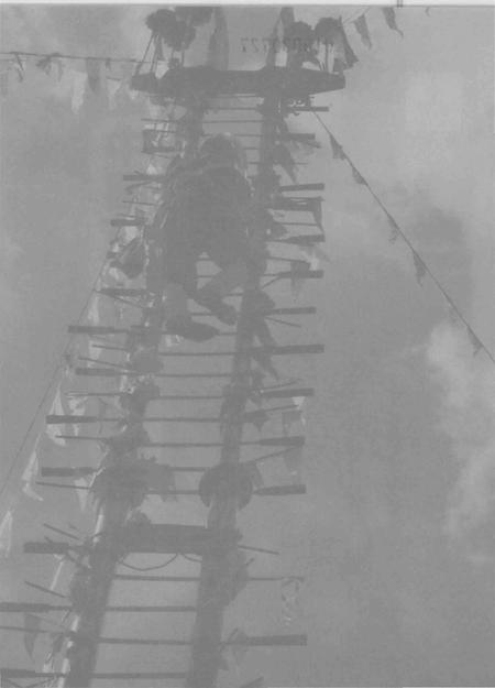 《中国节日志.刀杆节》.pdf电子版_其他志插图2