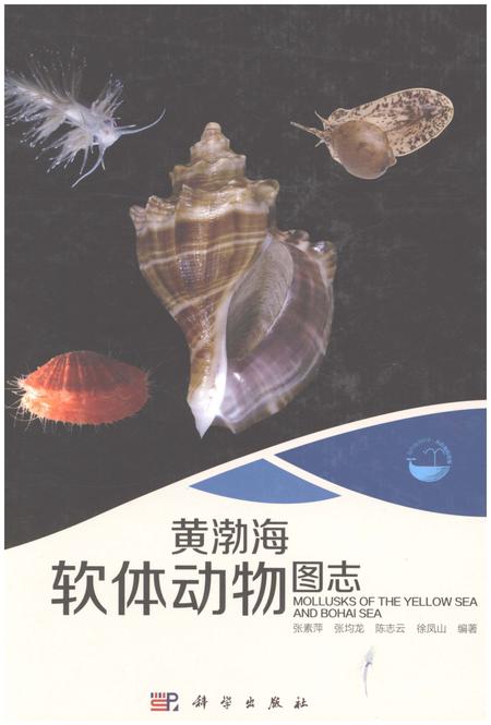 《黄渤海软体动物图志》.pdf电子版_其他志