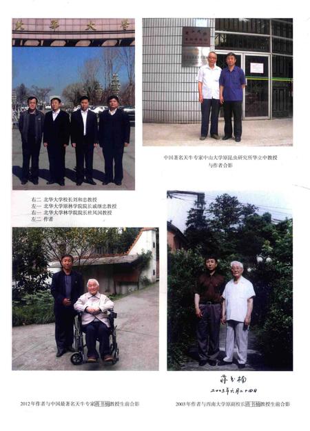 《中国天牛图志(基础篇)》.pdf电子版_其他志插图4