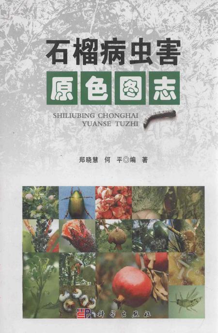 《石榴病虫害原色图志》.pdf电子版_其他志插图