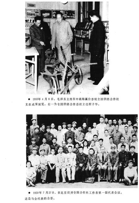 《中国供销合作社大事记与发展概况1949-1985》.pdf电子版_其他志插图5