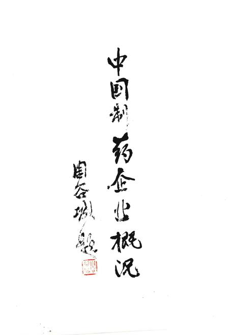 《中国制药企业概况》.pdf电子版_其他志插图1