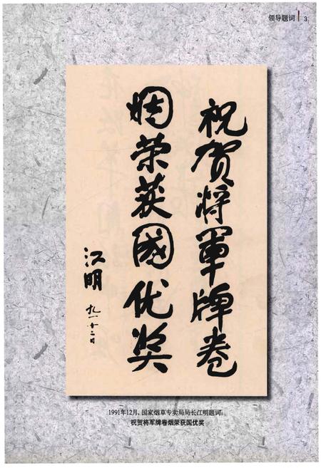 《将军集团志》.pdf电子版_其他志插图4