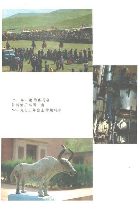 《中国少数民族自治地方概况丛书》.pdf电子版_其他志插图5