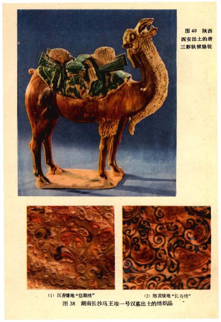 《中国古代科学技术大事记》.pdf电子版_其他志插图4