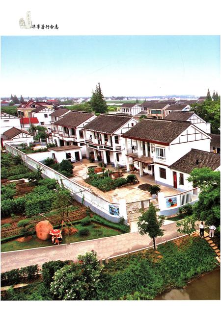 《华亭唐行合志（1993-2010）》.pdf电子版_其他志插图3