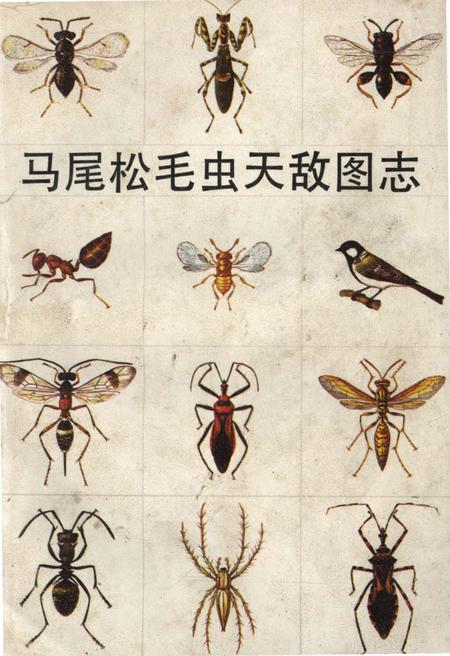 《马尾松毛虫天敌图志》.pdf电子版_其他志插图
