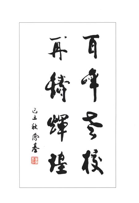 《鲁中职业学院十年发展志(2003-2013)》.pdf电子版_其他志插图1