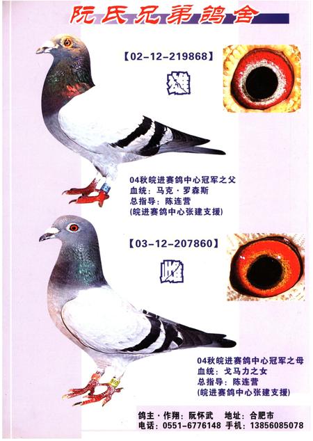 《铭鸽名人志》.pdf电子版_其他志插图1