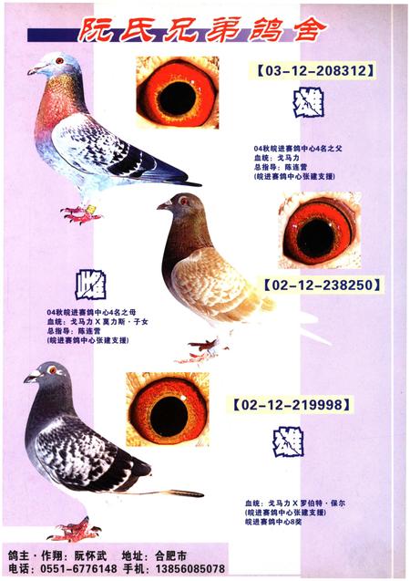 《铭鸽名人志》.pdf电子版_其他志插图2