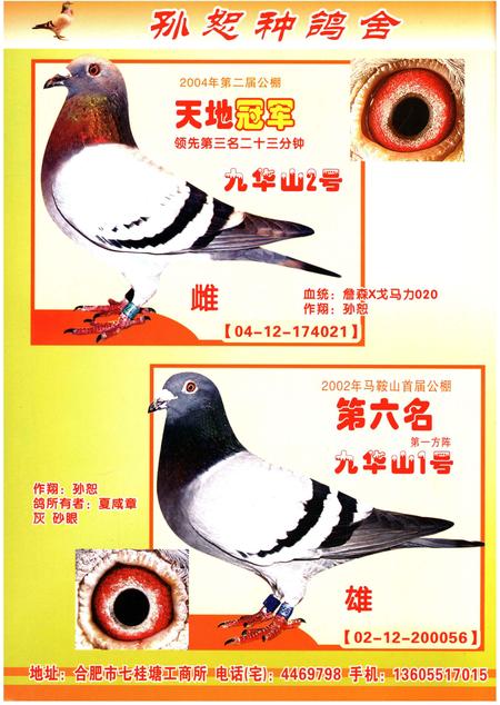 《铭鸽名人志》.pdf电子版_其他志插图3