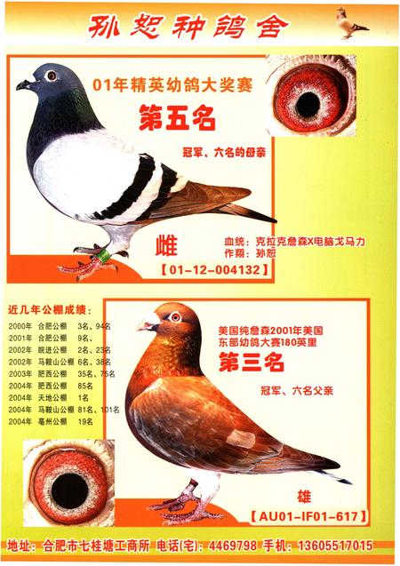 《铭鸽名人志》.pdf电子版_其他志插图4