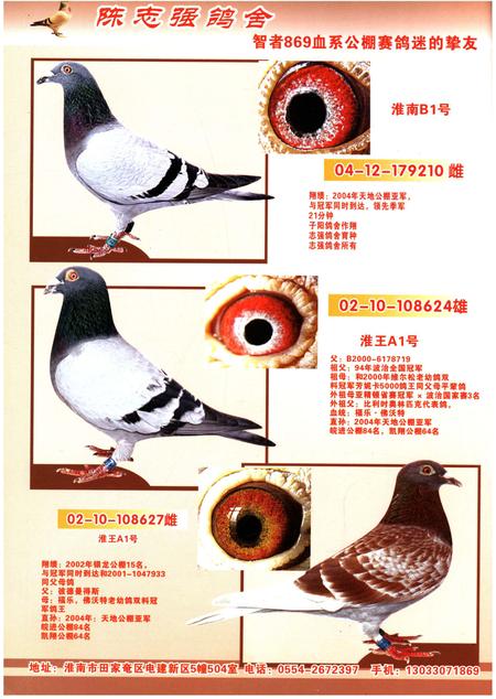 《铭鸽名人志》.pdf电子版_其他志插图5