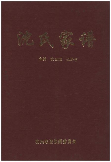 《沈氏家谱》.pdf电子版_其他志插图