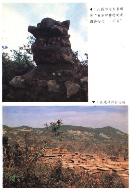 《中国彝族虎文化》.pdf电子版_其他志插图3