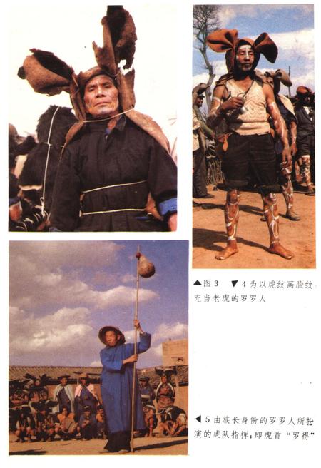 《中国彝族虎文化》.pdf电子版_其他志插图4