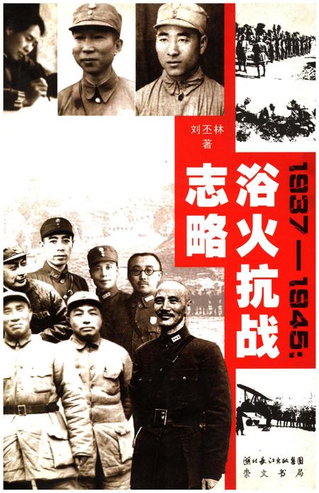 《浴火抗战志略》.pdf电子版_其他志插图