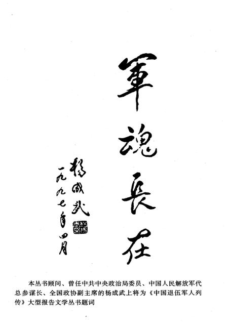 《中国退伍军人列传 第二辑》.pdf电子版_其他志插图4