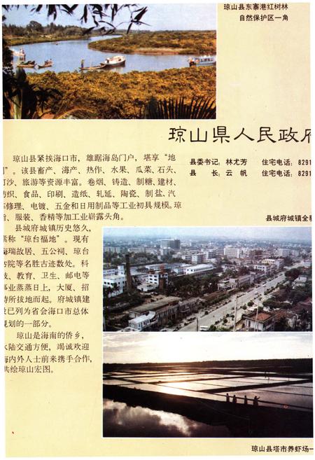 《中国市县经济发展概况 一》.pdf电子版_其他志插图5