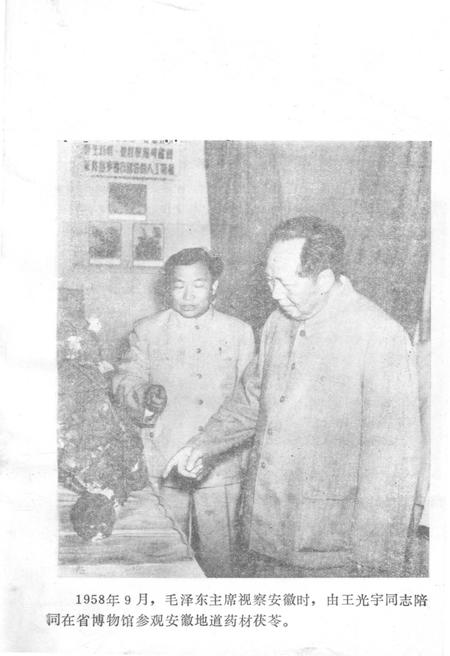 《中国中药大事记 1949-1983》.pdf电子版_其他志插图2