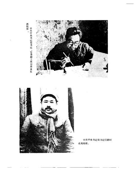 《淮海战役综述文献图表大事记》.pdf电子版_其他志预览图2