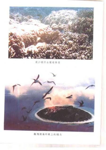 《岭南海洋国土》.pdf电子版_其他志插图4 《岭南海洋国土》.pdf电子版_其他志插图4